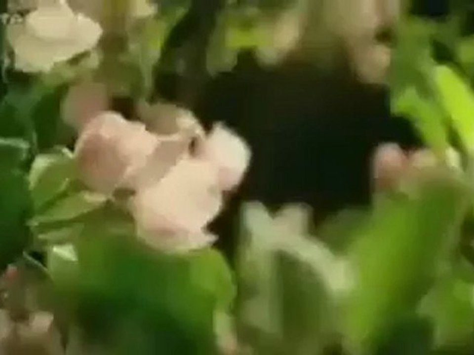 Le Printemps