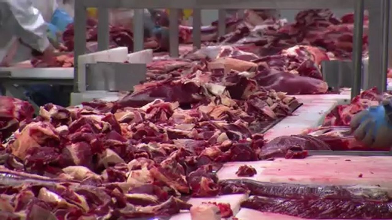 Romania denies blame for Europe horsemeat scandal