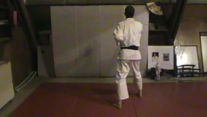 Kempo : mawate gedan barai