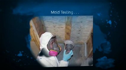 Olympia-Water-Damage-Restoration