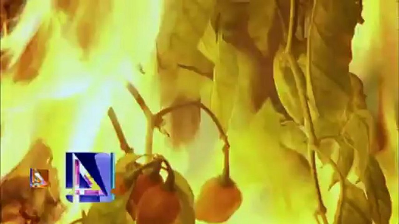 Otchłań namiętności Zapowiedz TV4 (n°2)