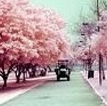 세븐럭카지노←◆◆vip933.com◆◆→세븐럭카지노