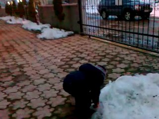 Çınar- kartopu savaşı