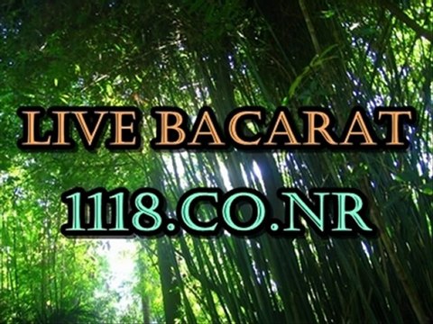 에이플러스카지노 ♂♂ ##1118.CO.NR##♂나이트팔라스 플레이텍 마이크로게임 에이플러스카지노