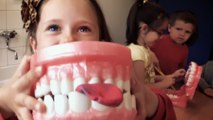 La prévention Bucco-dentaire dans les Centres de Loisirs