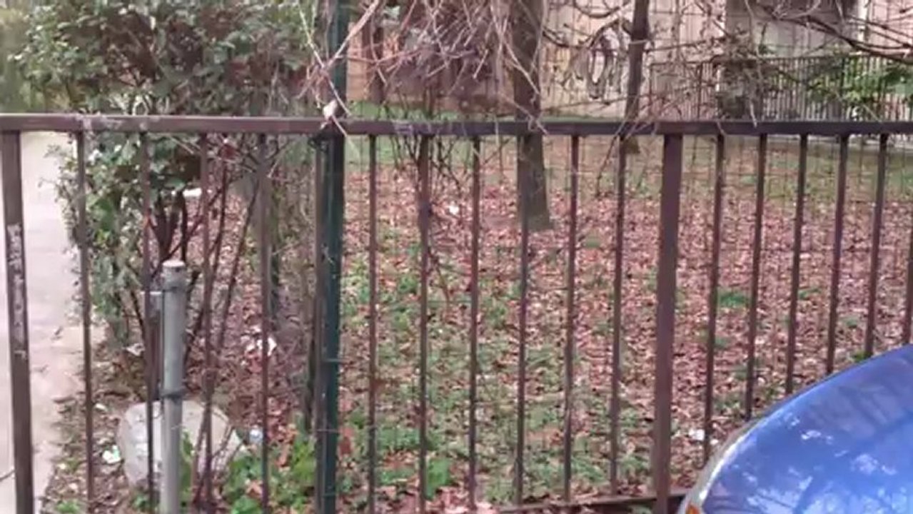 Videotest iPhone 4S (per confronto di giorno con iPhone 5)