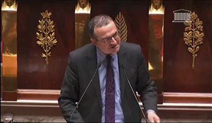 Vote du mariage pour tous: Hervé Mariton (UMP)