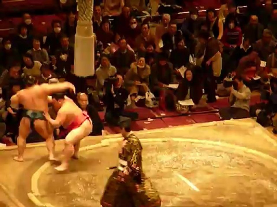 Sumo Pro - Combat 1