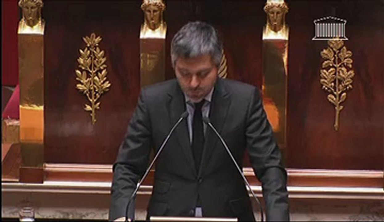Vote du mariage pour tous: Sergio Coronado (EELV)