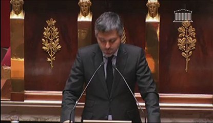 Vote du mariage pour tous: Sergio Coronado (EELV)