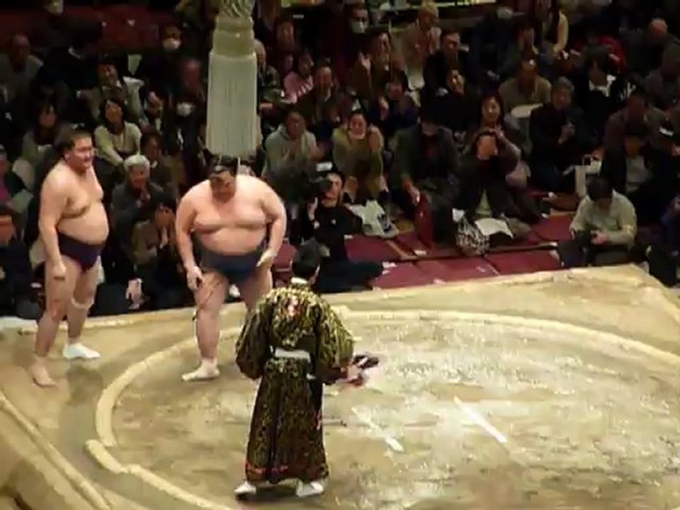 Sumo Pro - Combat 3