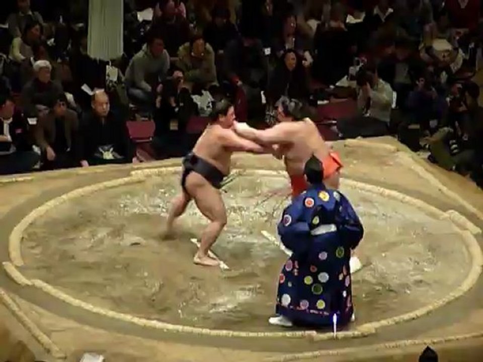 Sumo Pro - Combat 4