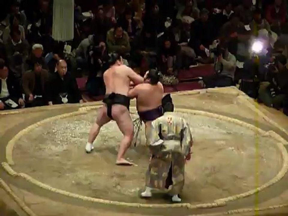 Sumo Pro - Combat 6