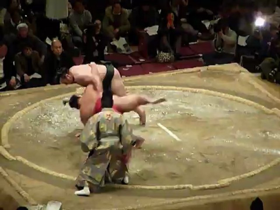 Sumo Pro - Combat 7