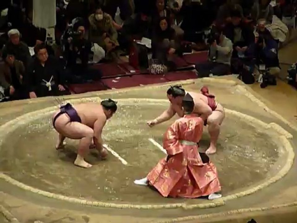 Sumo Pro Combat 9