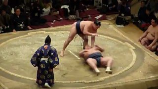 Sumo Pro - Huitième de Finale 4