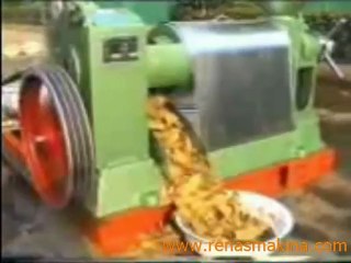 6YL100 Yağ  kanola aspir ay çekirdeği presi