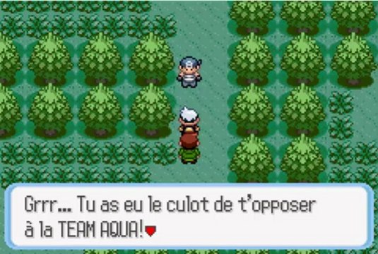 Pokémon version Saphir 4 promenons-nous dans les bois
