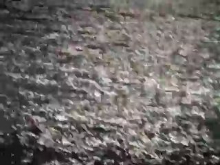 Заведи ме там...