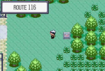 Pokémon version Saphir 5 Level UP 1