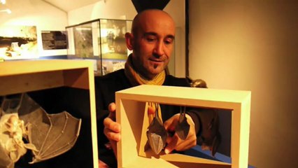 Rencontre avec ludovic thomas, sculpteur de... chauves-souris