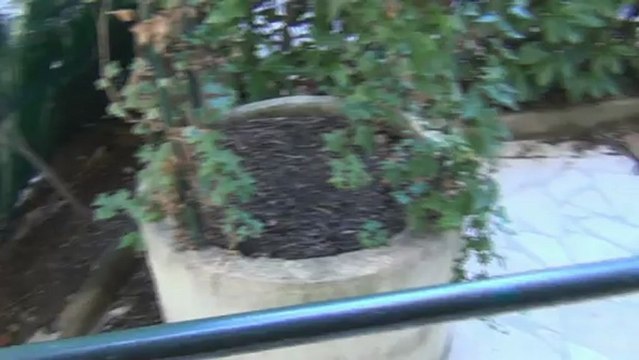 Appartement 3 pièces Tyché à Grasse 06130