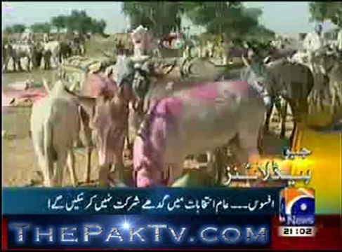 Geo news 9pm – 13th February 2013 - Headlines