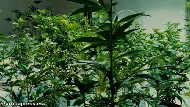 Los solteros de oro más deseados