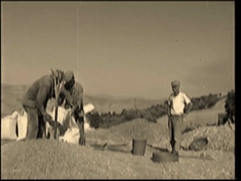 che ci ricorda quanto sia importante il grano nella nostra vita.