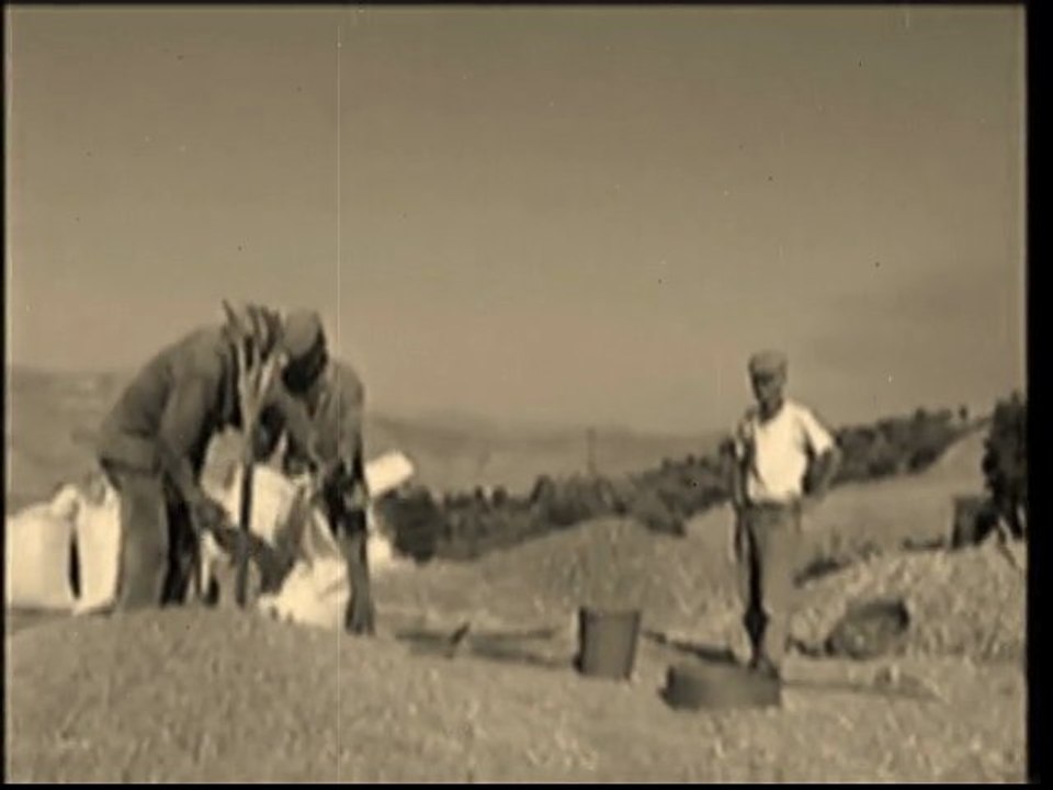 che ci ricorda quanto sia importante il grano nella nostra vita.