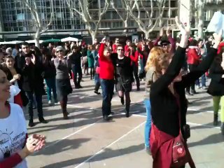 Flash Mob de Montpellier contre les violences faites aux femmes, manifestation mondiale One Billion Rising et V-Day du 14 février 2013