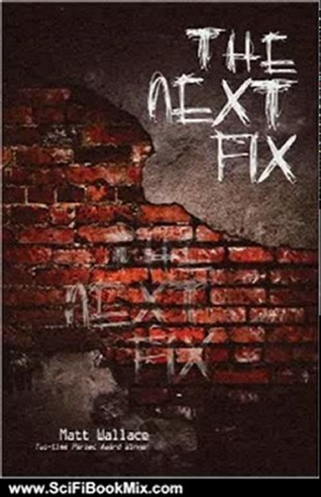 Science Fiction Book Summary: The Next Fix by Matt Wallace