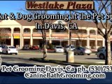 Dog Grooming-Grooming for Pets-Grooming for Cats Davis CA