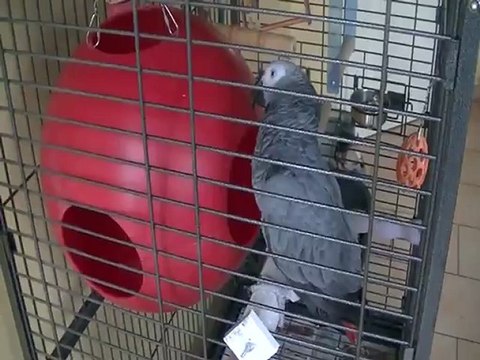 moogly 002_converted