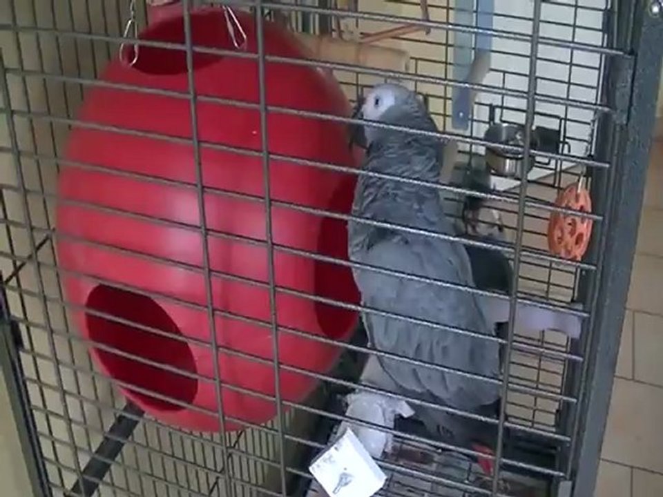 moogly 002_converted