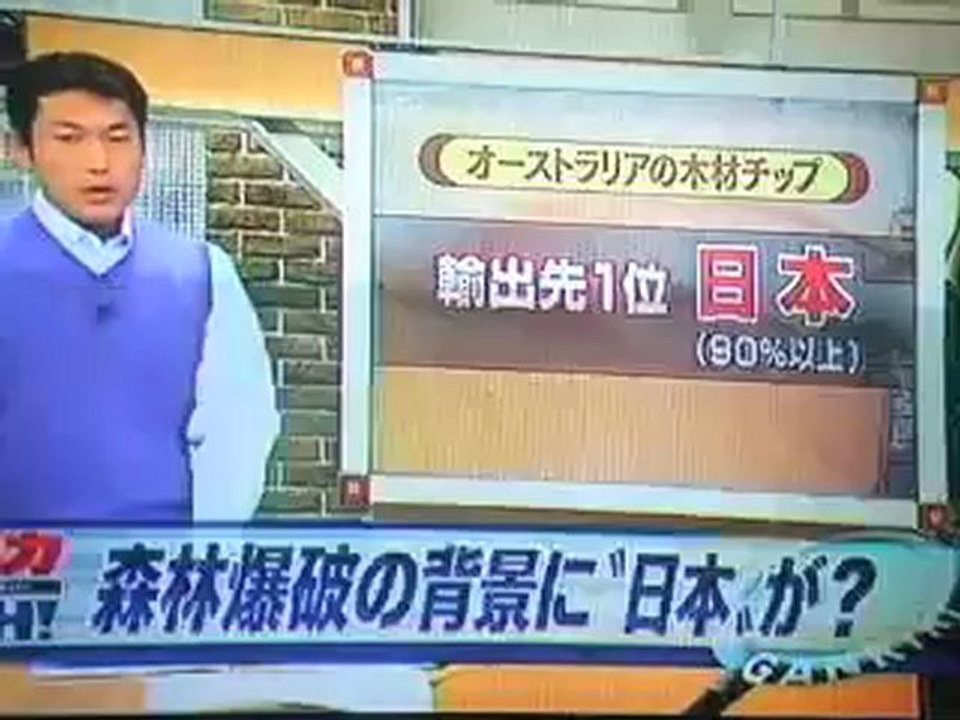 タスマニア森林破壊