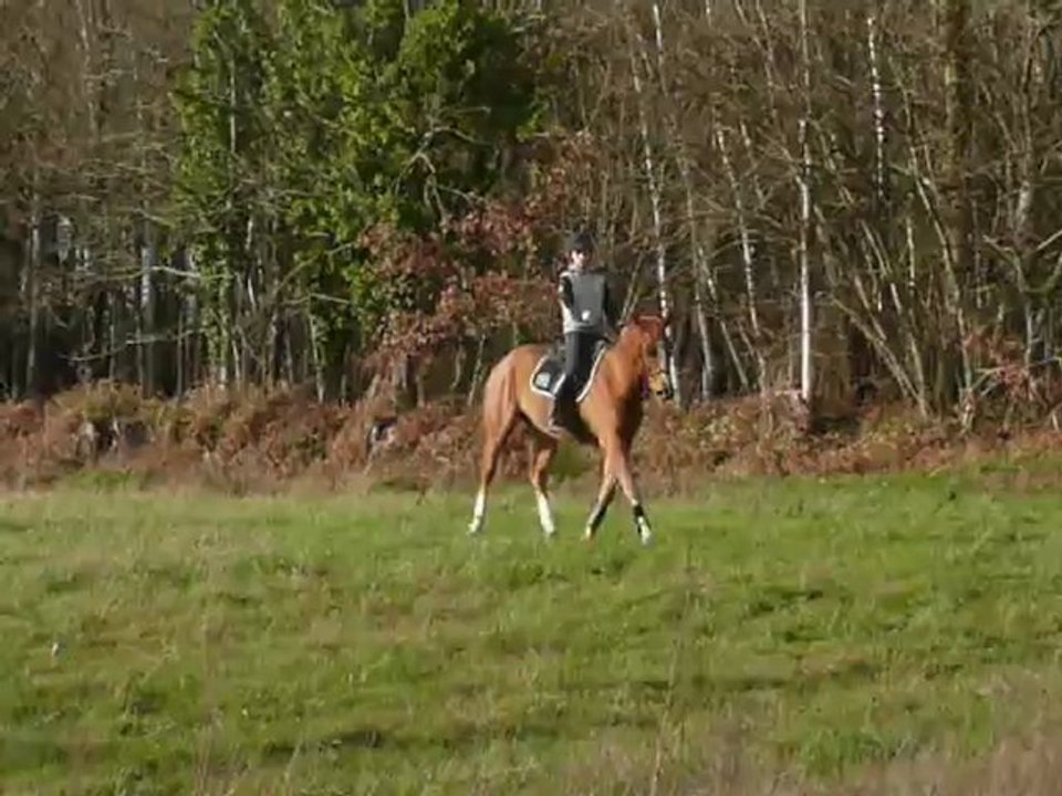 uno dressage 2 fevrier 3