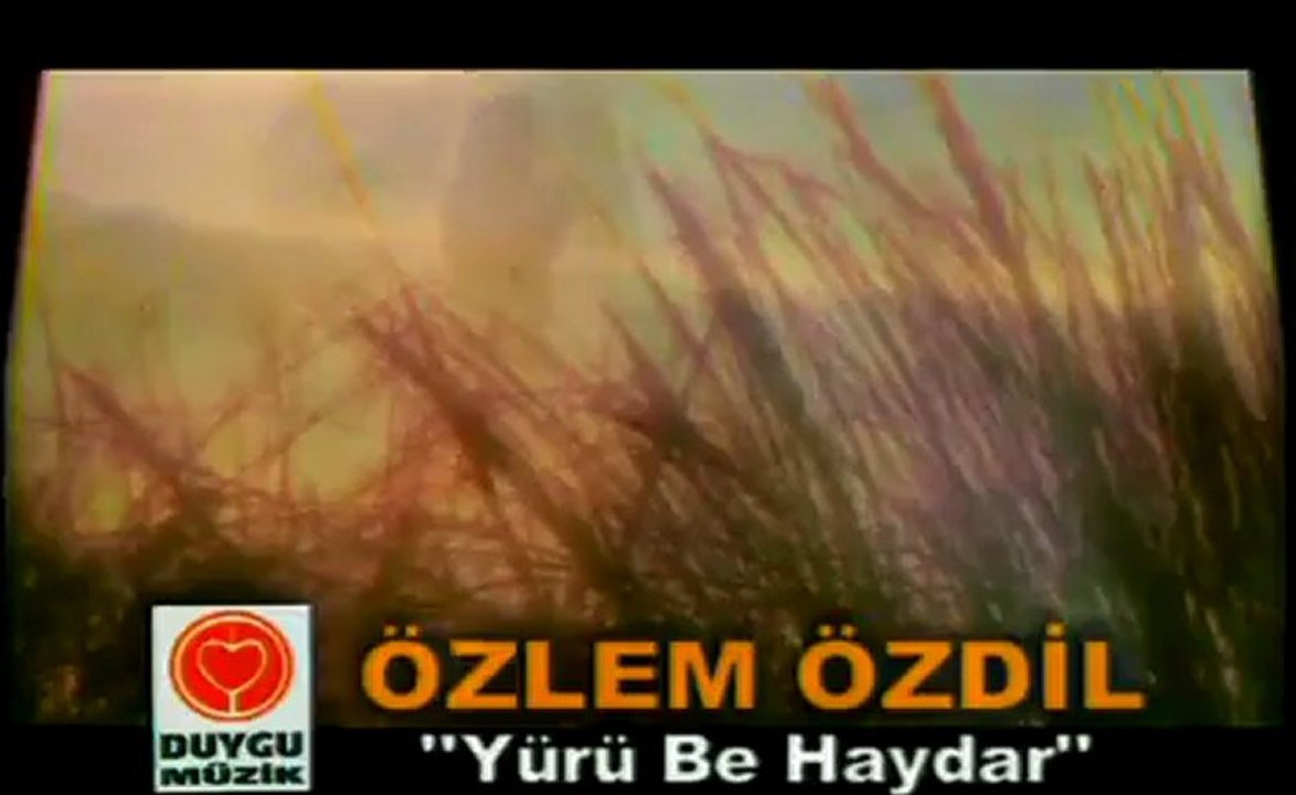 Yürü Be Haydar (Özlem Özdil)