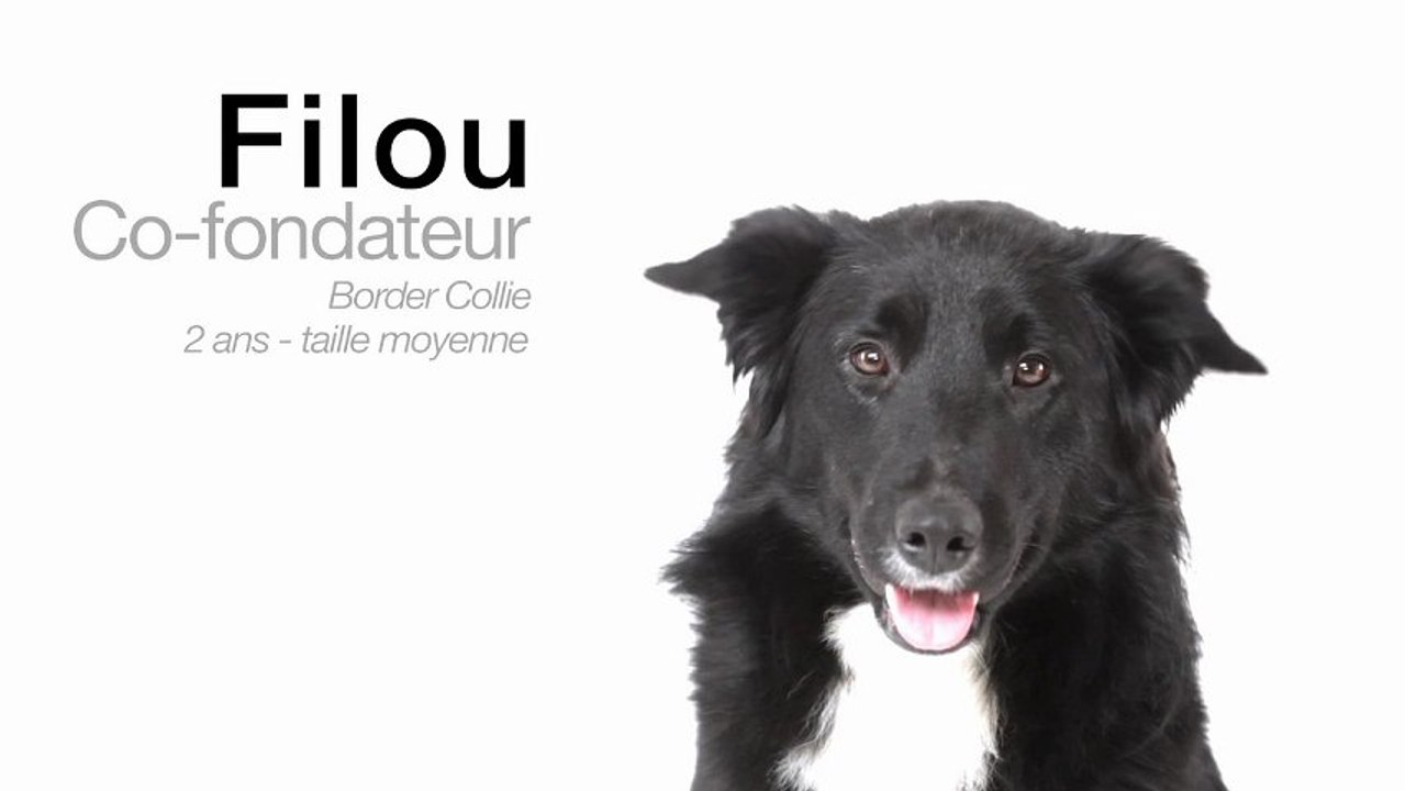 Garde animaux : du nouveau avec l'échange de garde d'animaux entre particuliers et Animal Futé