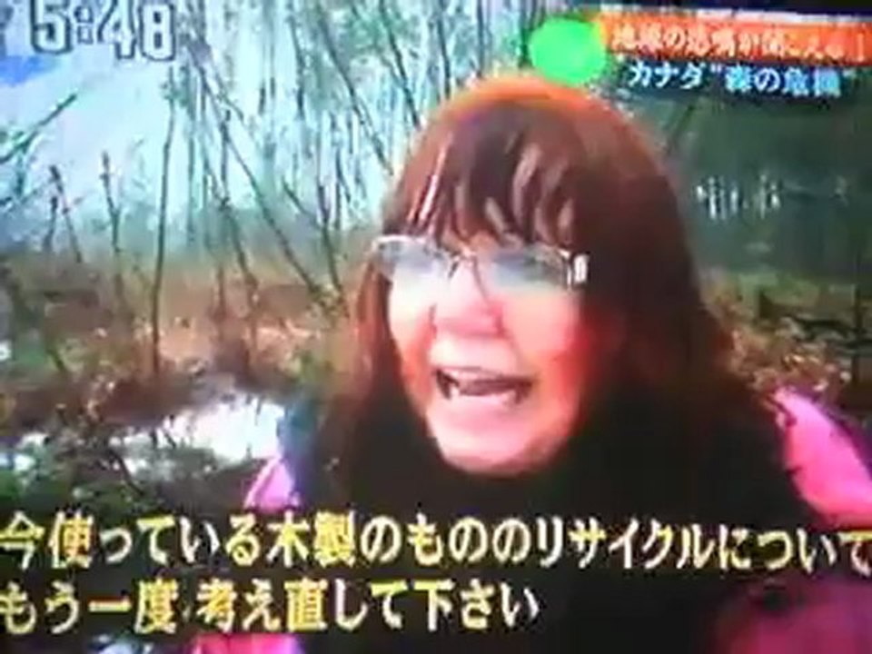 バンクーバー島の森林破壊