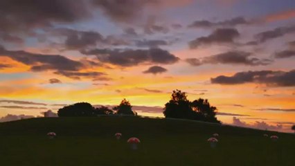 Alexx Divinoo   Romain D - Voyage ( Radio Edit ) HD