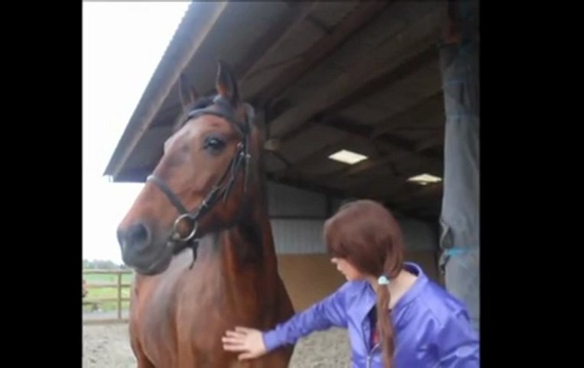 Mon cheval Jazz !
