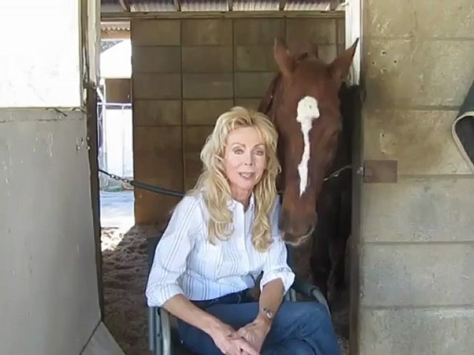 Smart Horse Knows Colors & Plays Bowl Game