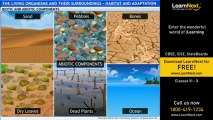 Class VI The Living Organisms And Their Surroundings – Habitat and Adaptation v01