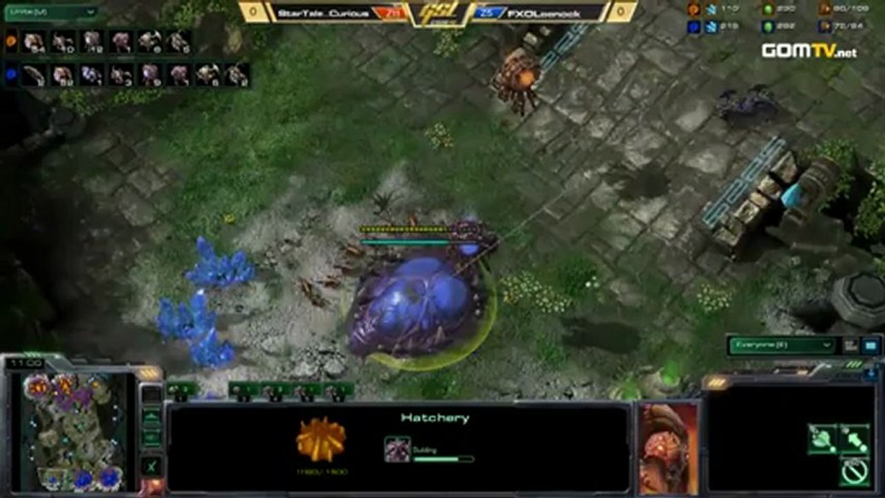 2013 GSL S1 CodeS Ro32 StarTale_Curious [Z] vs FXO_Leenock [Z] Set1