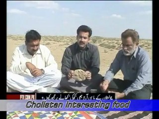Desert cholistan