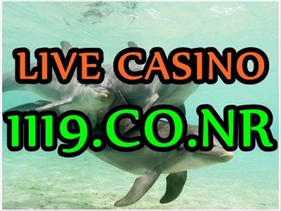 마이크로게이밍^^$나이트팔라스 1119.CO.NR 플레이텍 에이플러스카지노 제이슨이야기