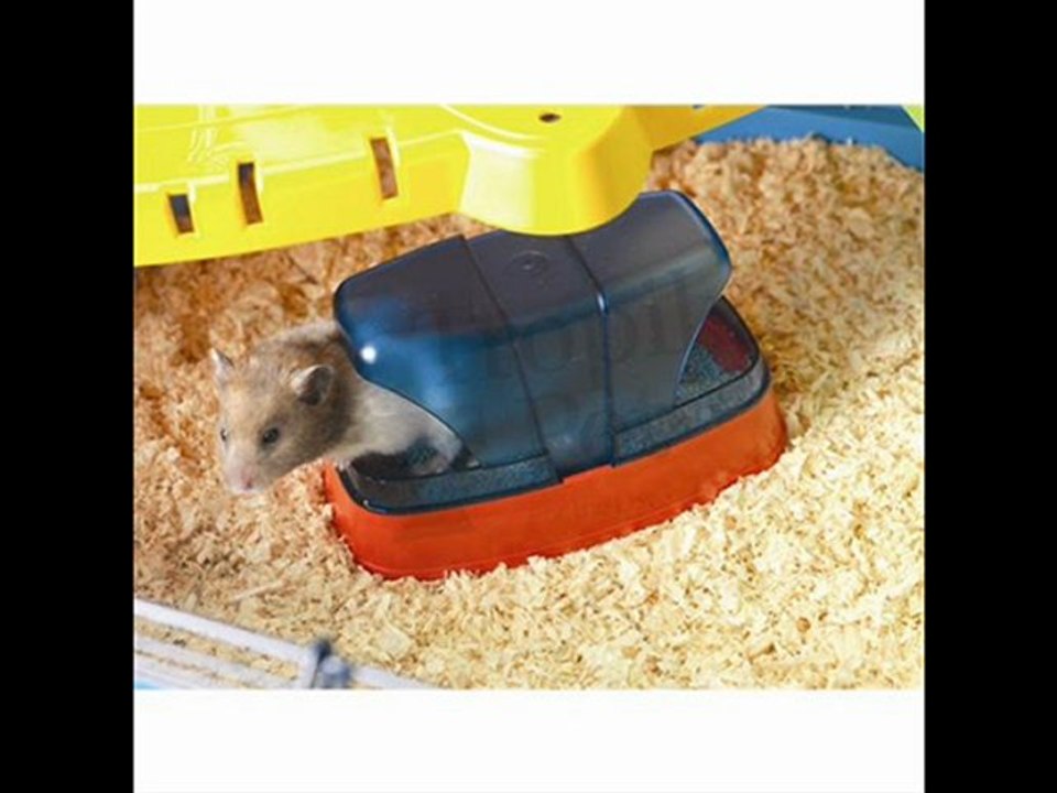 ilgazpet kedi köpek kuş balık akvaryum mama