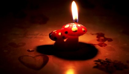 Valentine's Day 5 - Free HD stock footage