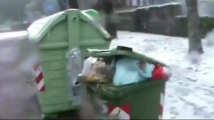 venezia marghera neve e vento